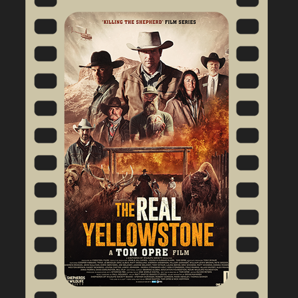 shepherdsofwildlife.org