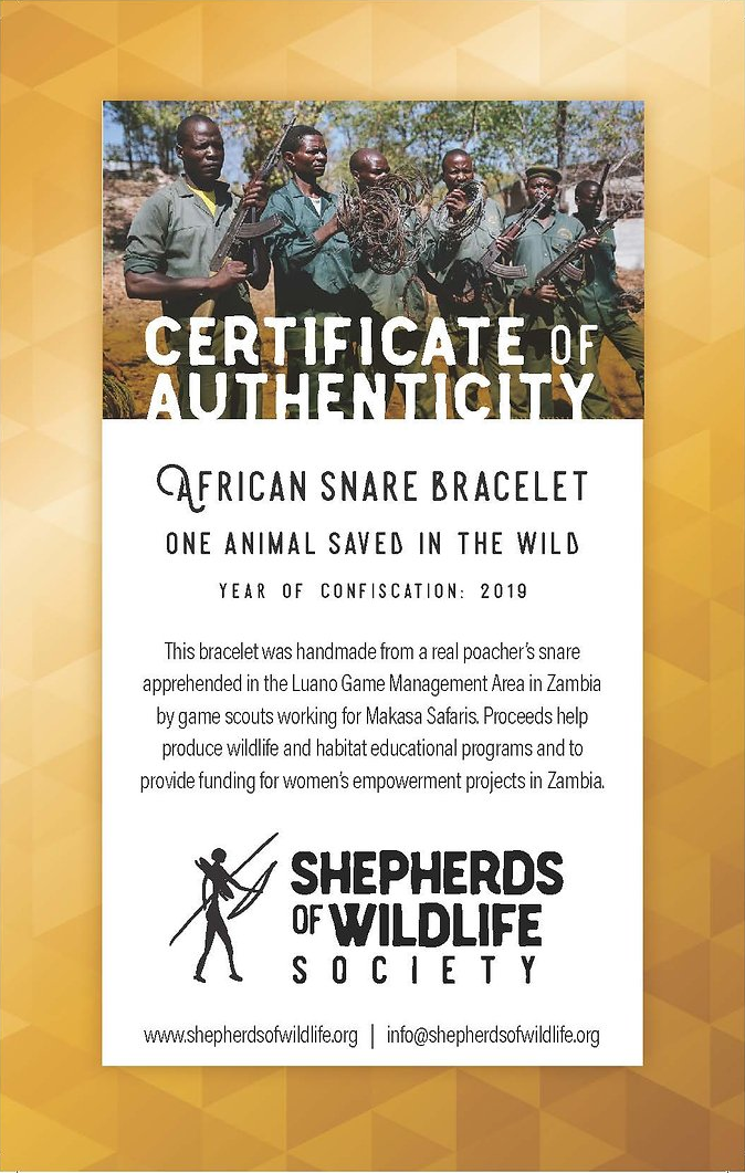 African Snare Bracelet - Banded image 1