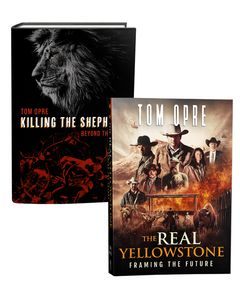 Two books by Tom Opre on a white background