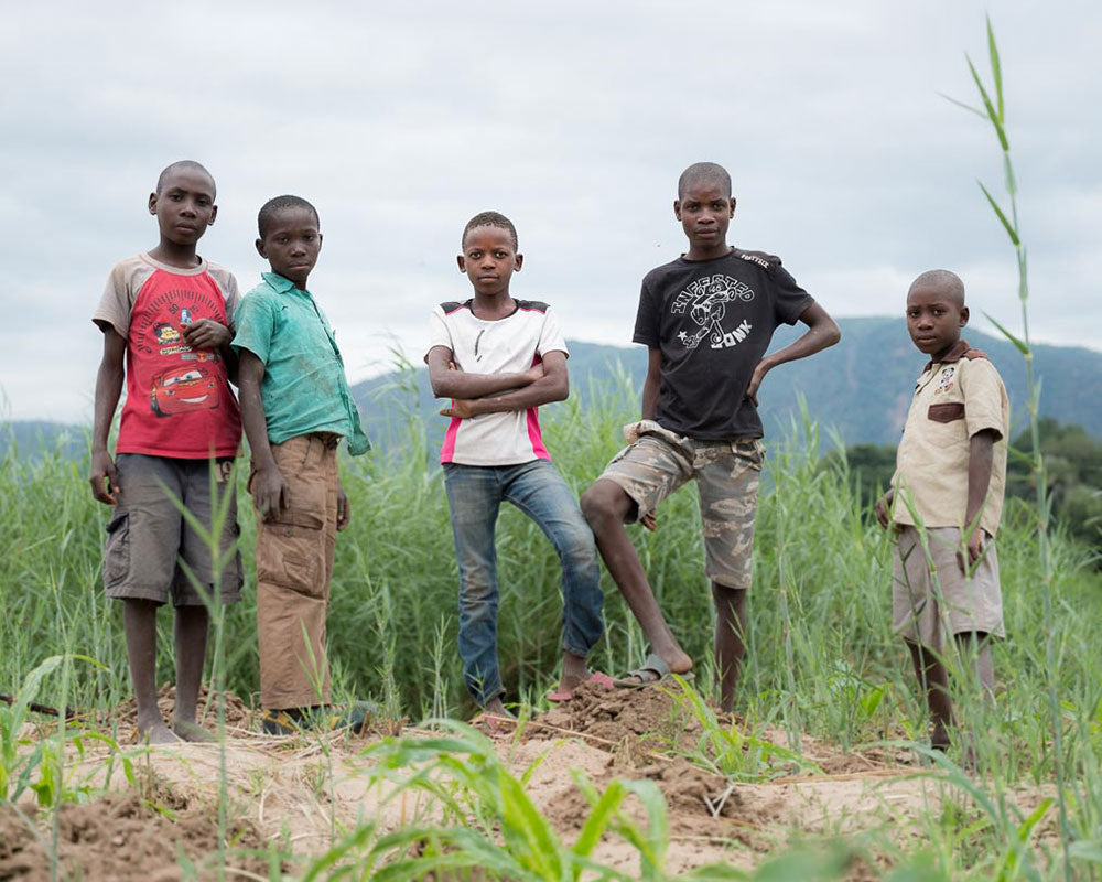 Five Zambian children standing in a grassy field with mountains in the background. Zambian nature conservation.