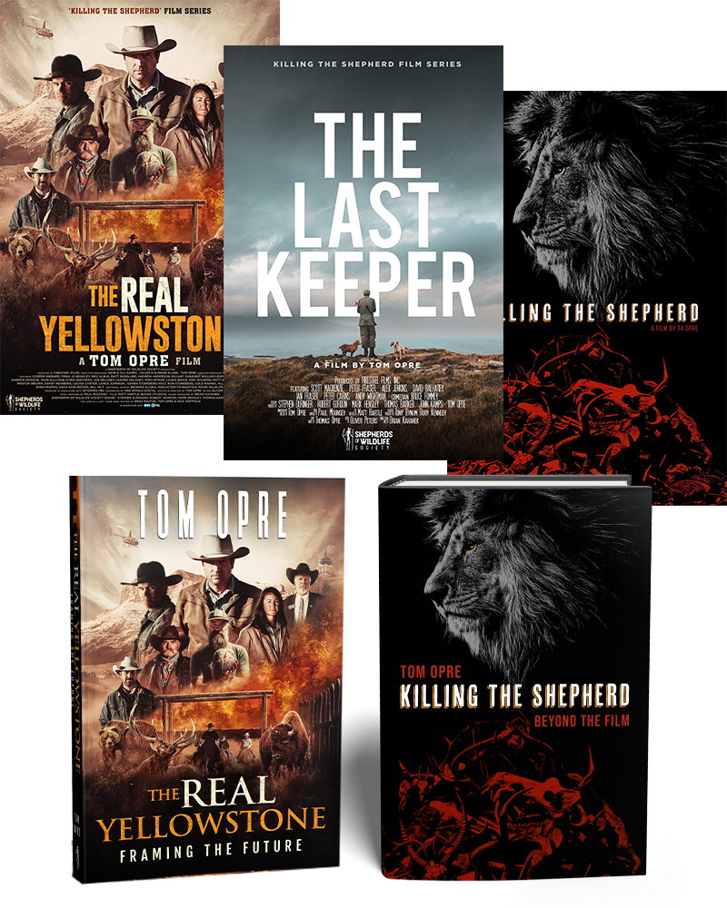 Collection of movie posters and books related to 'The Real Yellowstone' and 'Killing the Shepherd' series.